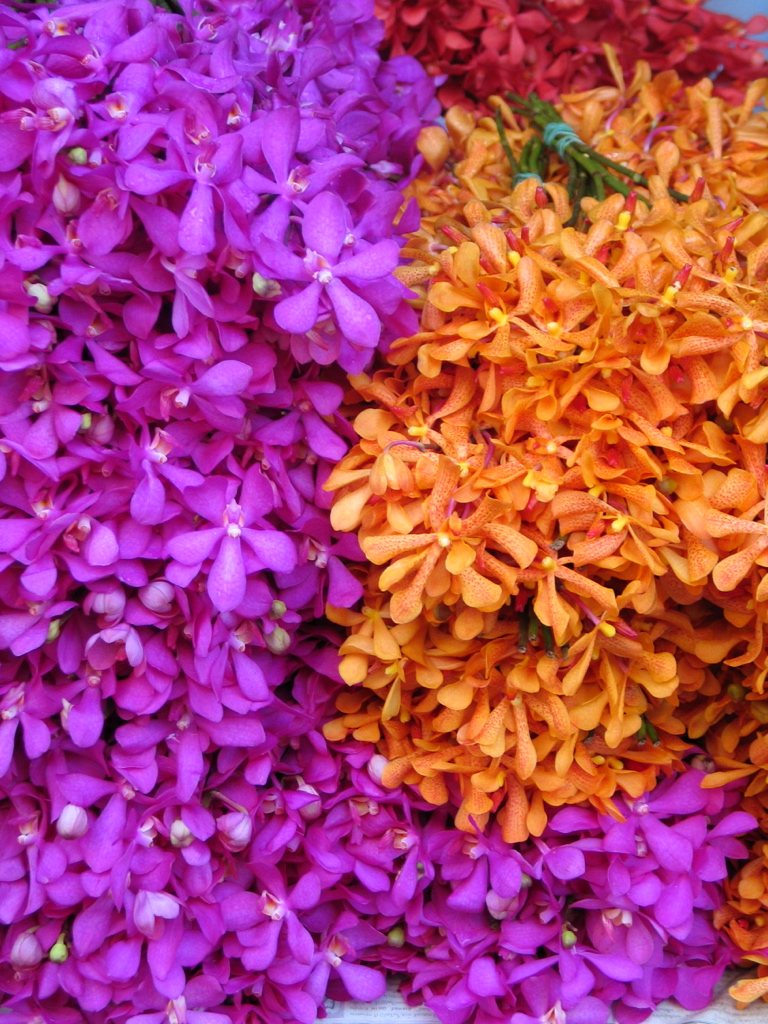 Magenta and orange orchids at a flower market — colour palette for a bespoke travel mood board