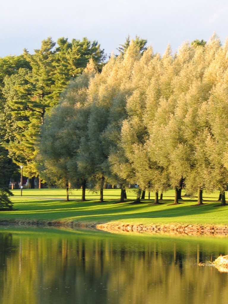 Willows reflected in still water at golden hour — unhurried days built into every itinerary